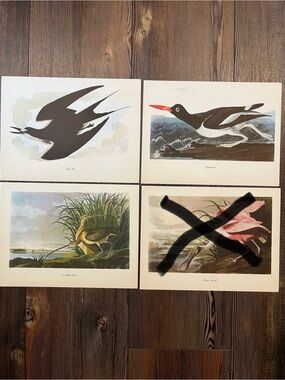 Audubon Birds Of America Prints (L9)